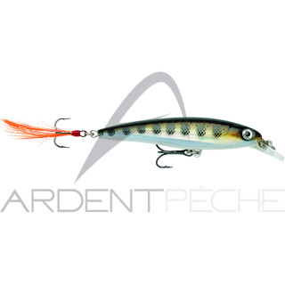 Pesce nuotatore RAPALA X Rap 06