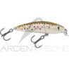 Pesce artificiale RAPALA Ultra light minnow 06
