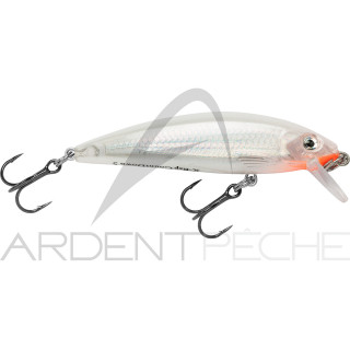 Poisson nageur RAPALA X Rap countdown 05