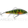 Pesce nuotatore RAPALA Super shadow rap 11