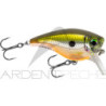 Crankbait RAPALA BX Mid brat 05