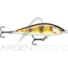 Pesce nuotatore RAPALA Countdown Elite 55