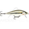 Pesce nageur RAPALA Countdown elite 35