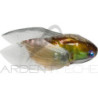 Pesce natante MEGABASS Tiny siglett