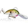 Poisson nageur STRIKE KING Pro model series 4