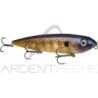 Poisson nageur STRIKE KING KVD Sexy dawg