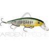Pesciolino STRIKE KING KVD 300 Jerkbait