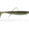 Soft bait BASS ASSASSIN Elite Shiner 4