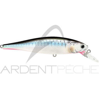 Poisson nageur LUCKY CRAFT B Freeze Pointer 100 SP