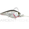 Pesciolino LUCKY CRAFT LC 1.5 DD DRS