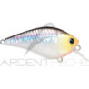 LUCKY CRAFT LC 1.5 Crankbait
