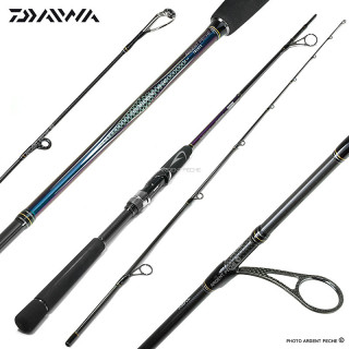 Canne DAIWA Tournament SW AGS