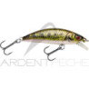 Swimbait SAKURA Phoxy minnow HW 62 S
