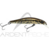 Pesce nuotatore JACKSON Artist FR55