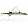 Soft Lure DELALANDE Sea Pike Unrigged 18cm x1