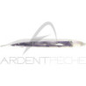 FISH ARROW Flash J Shirasu 3 soft lure
