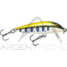Pesciolino RAPALA Countdown 05
