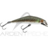 Smith LTD D-Contact 63 – a trout magnet - Ardent Pêche
