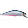 Smith LTD D-Contact 72 – a trout magnet - Ardent Pêche