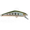 Crankbait SMITH D Compact 45