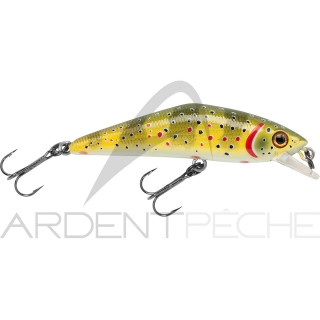 D-Contact 50 di Smith LTD - una calamita per le trote - Ardent Tecniche di pesca