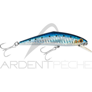 D-Contact 85 SW di Smith LTD - una calamita per spigole e palamite - Ardent Tecniche di pesca