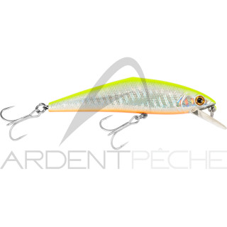 D-Contact 85 SW di Smith LTD - una calamita per spigole e palamite - Ardent Tecniche di pesca