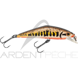 Smith LTD D-Contact 72 – a trout magnet - Ardent Pêche