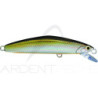 Pesce nuotatore SMITH F Select 64