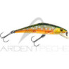 Smith LTD D-Contact 63 – a trout magnet - Ardent Pêche