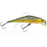Smith LTD D-Contact 72 – a trout magnet - Ardent Pêche
