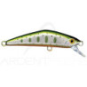 Poisson nageur SMITH D Compact 45