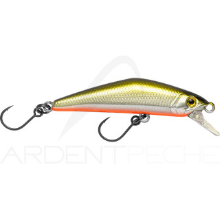 Poisson nageur SMITH D Compact FES 45