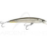 Pesce nuotatore SMITH Panish 120 F SW