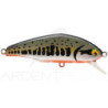 SMITH D Incite 53 crankbait