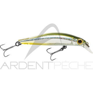 Poisson nageur JACKSON Artist FR55