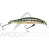 Pesce nuotatore JACKSON Artist FR55