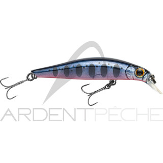 Minnow JACKSON Artist FR55