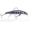 Pesce nuotatore JACKSON Artist FR55