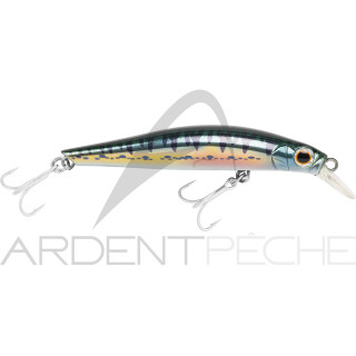 Pesce artificiale JACKSON Artist FR80