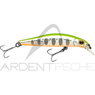 Minnow JACKSON Artist FR55