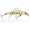 Minnow JACKSON Artist FR55
