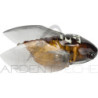 Pesce natante MEGABASS Tiny siglett