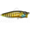 Pesce natante MEGABASS Pop max