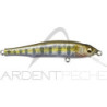 Poisson nageur MEGABASS Great hunt 70 flatside