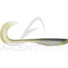 X Layer Curly 5" di Megabass - fate cedere i pesci - Ardent Tecniche di pesca
