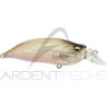Pesciolino MEGABASS IxI Shad LBO Type R