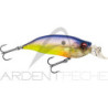 Pesciolino MEGABASS IxI Shad LBO Type R