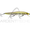 Pesciolino MEGABASS Vision 110 LBO FW