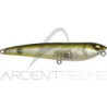 Pesciolino MEGABASS Dog X S